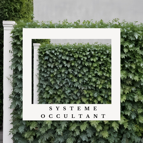 White Simple Photo Nature Quote Instagram Post (33)